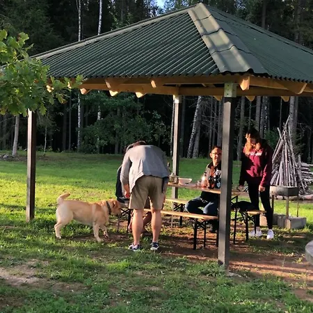 Apartament Metsalagendik *