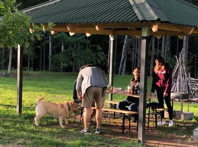 شقة Metsalagendik *